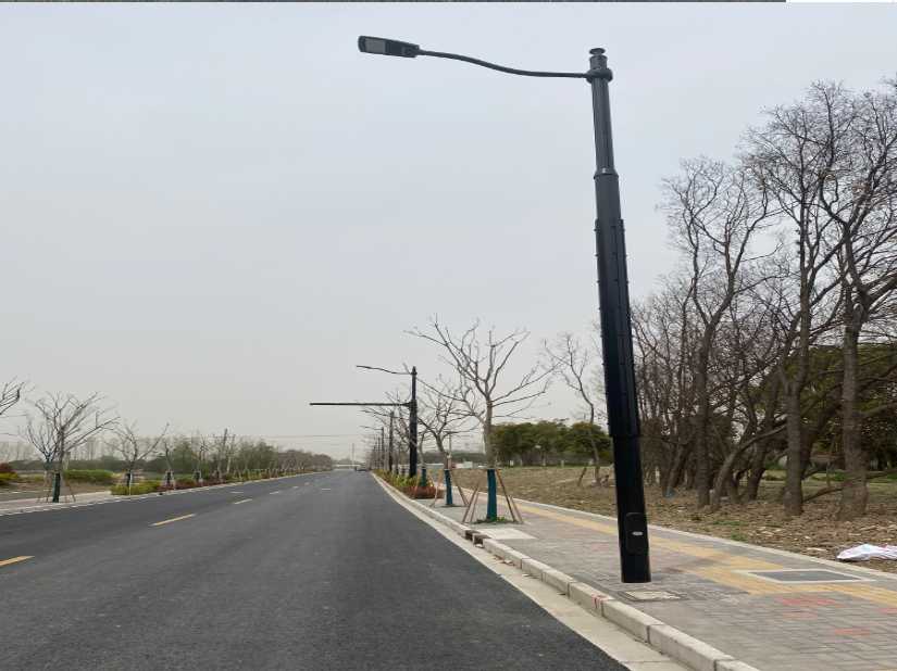 隆子县上海综合杆 太阳能路灯工程